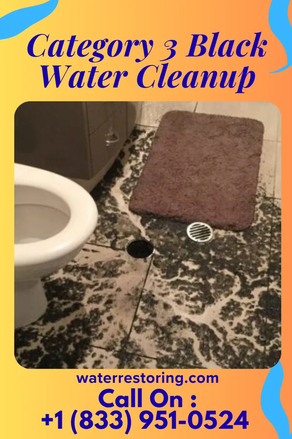 Category 3 Black Water Cleanup in Lake Wissota, WI