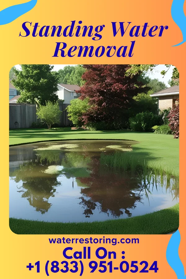 Standing Water Removal in Lake Wissota, WI